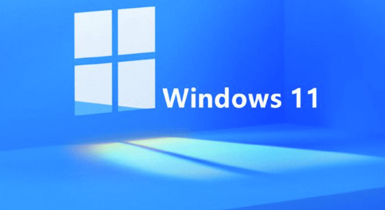 Windows 11 消费者版 (含家庭版/专业版/专业工作站/家庭单语言版)